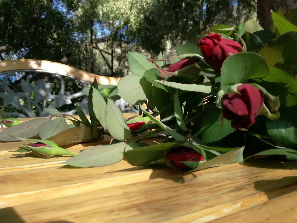 Il Giardino Di Lucia Apartment Gioiosa Marea