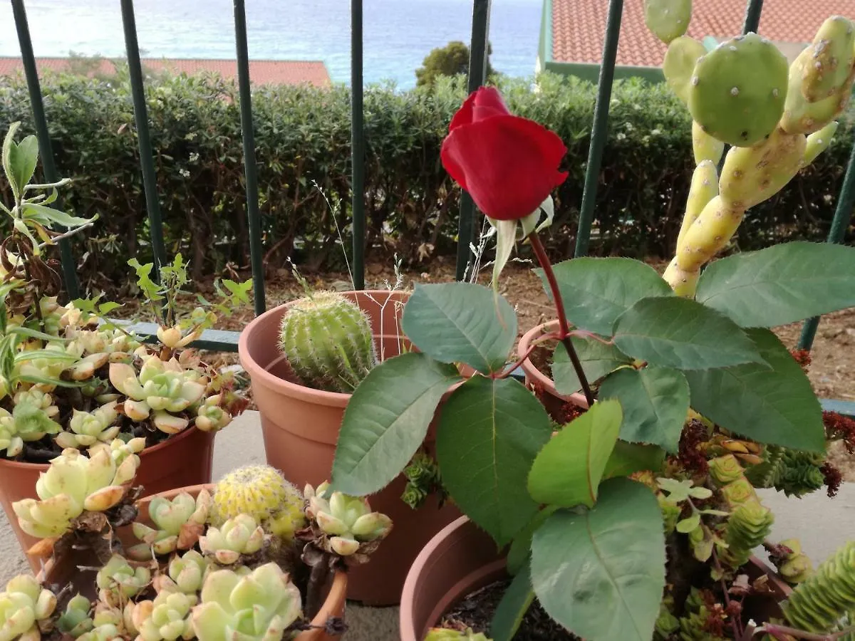 Il Giardino Di Lucia Apartment Gioiosa Marea Italy